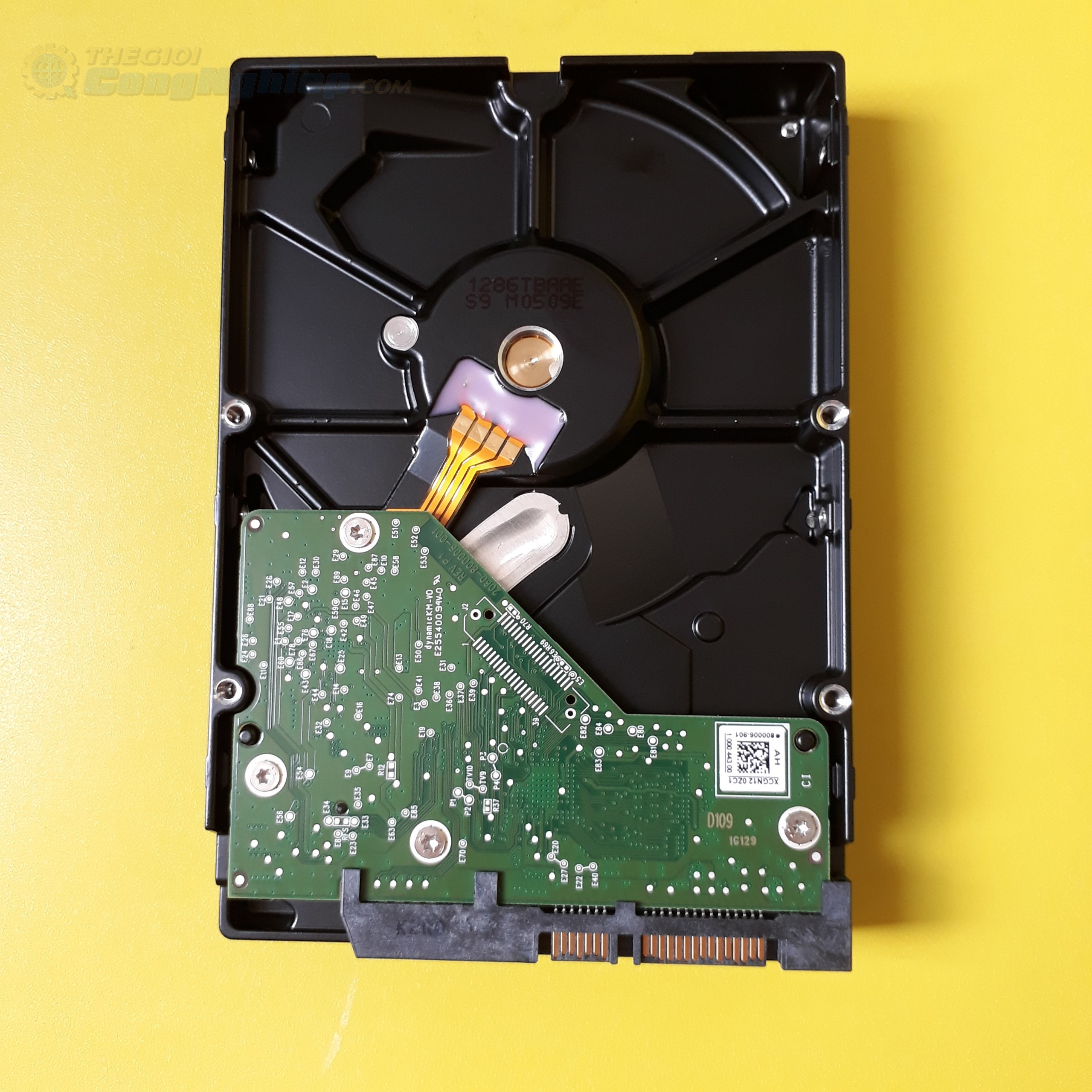 Ổ cứng HDD Western Digital Red 1TB 3.5