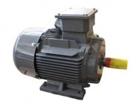 Motor chân đế Teco AEEV 2P-1.5HP