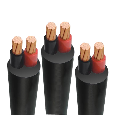 Cáp điện lực hạ thế ruột đồng 2 lõi cvv 2x4 màu đen, cách điện pvc, vỏ pvc, giá tính theo cuộn 