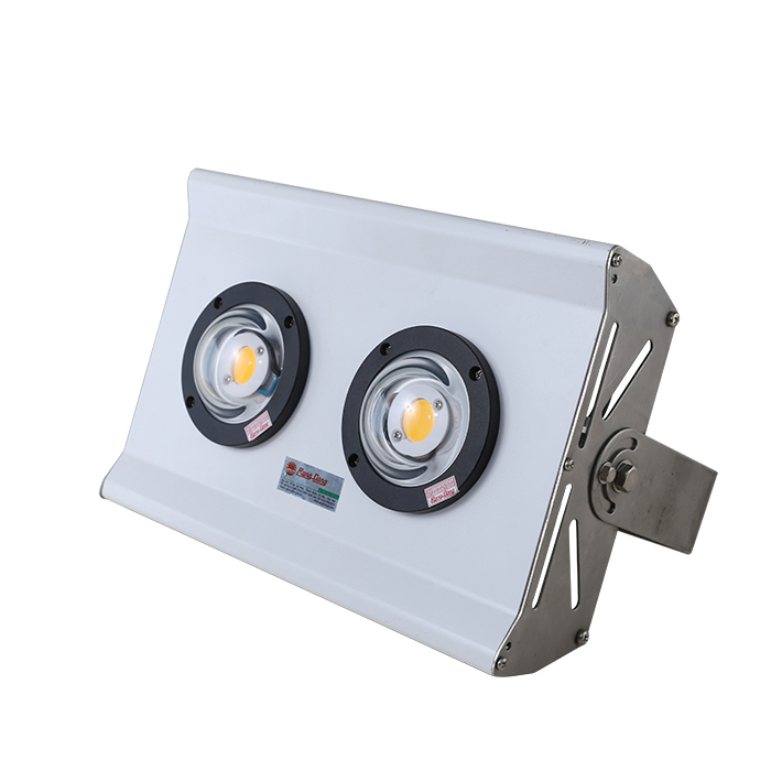 Đèn led chiếu bè 150w