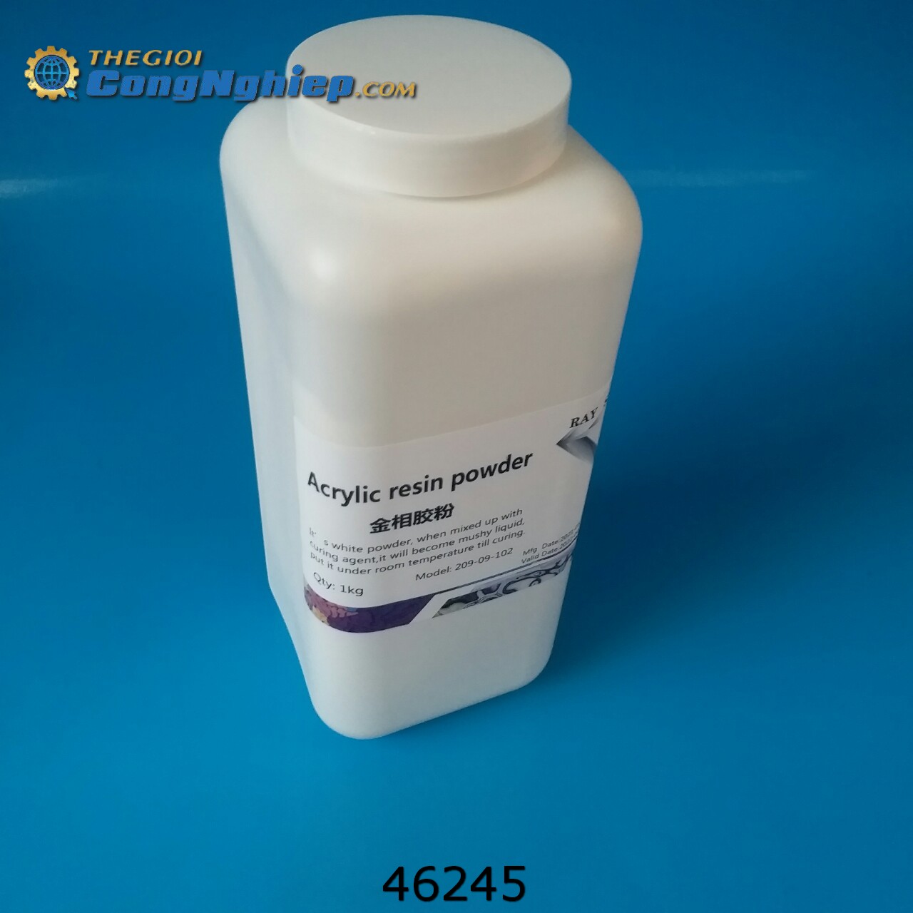 Bột đúc mẫu nguội màu trắng Acrylic 1Kg Ray-shine 209-09-102