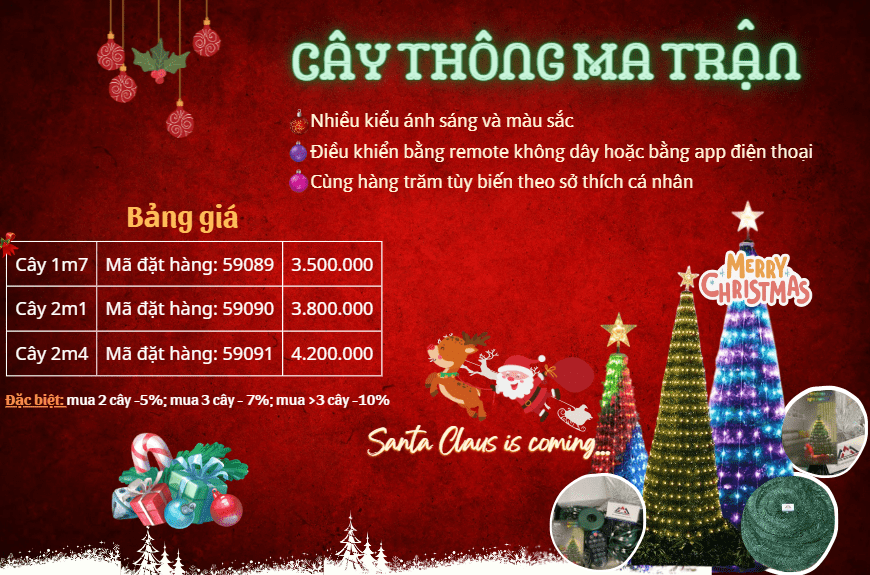 Cây thông ma trận