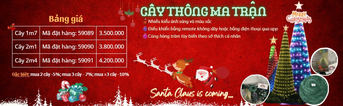 Cây thông ma trận